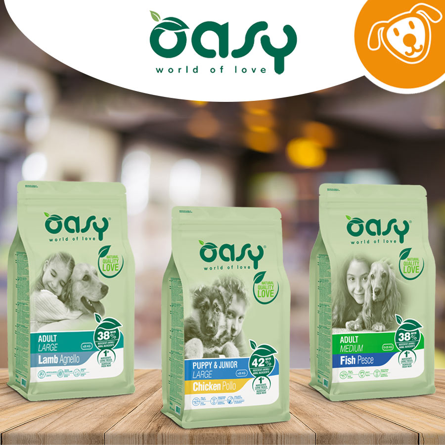 Oasy Dog