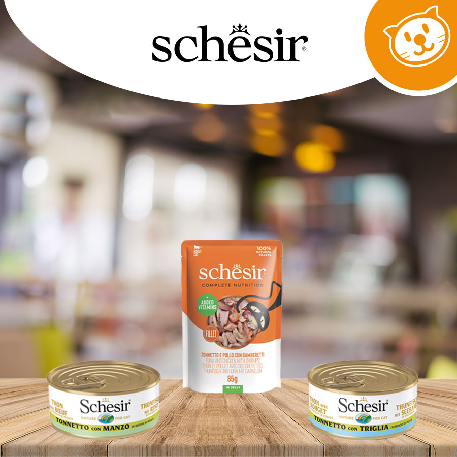 Schesir Cat Umido