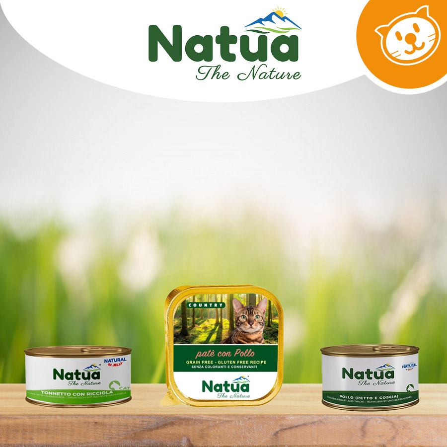 Natua Cat Umido