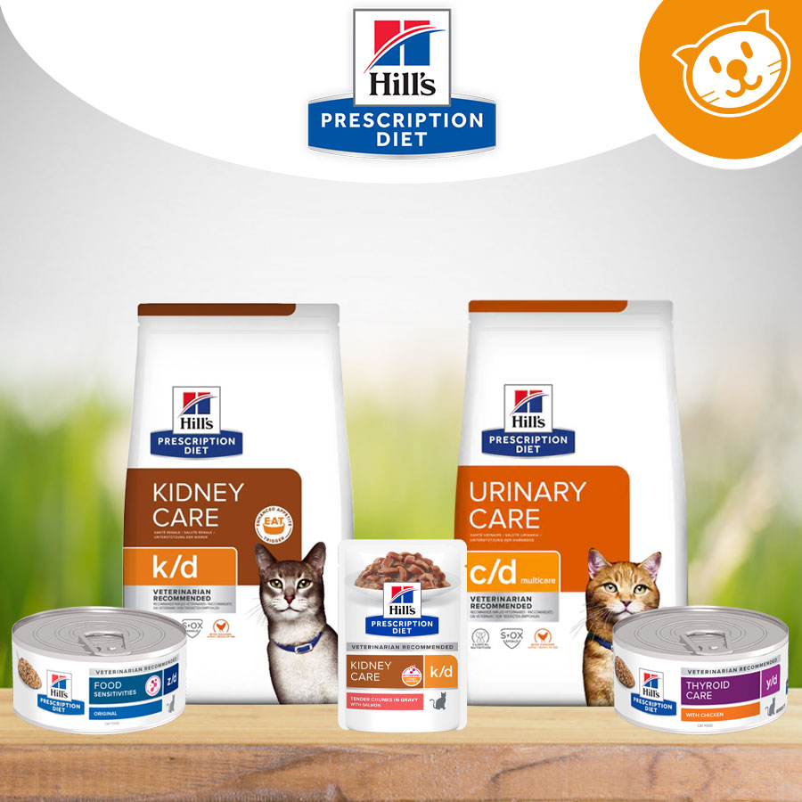 Hill's Gatto Umido&Secco