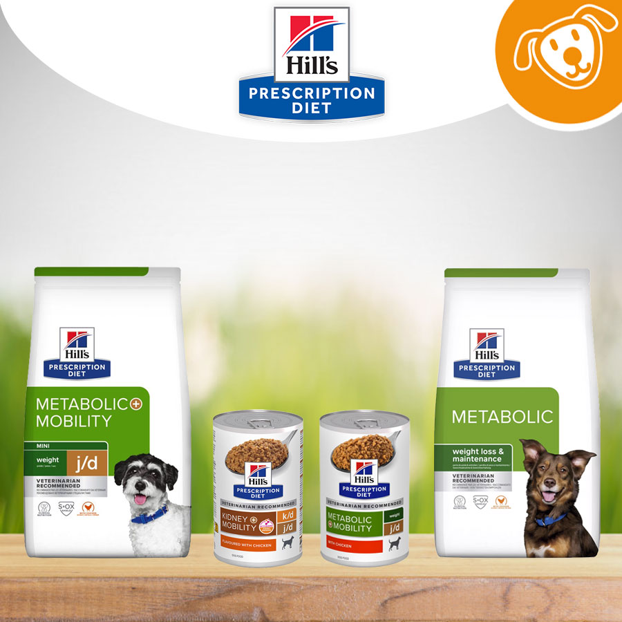 Hill's Cane Umido&Secco