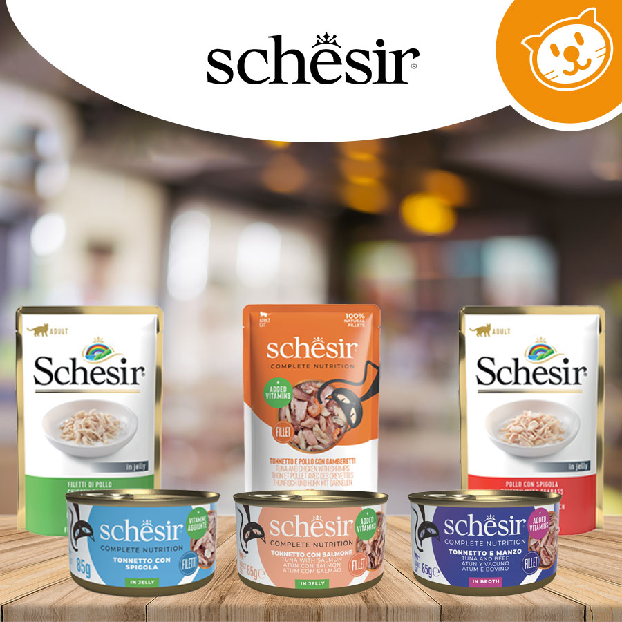 Schesir Cat Umido