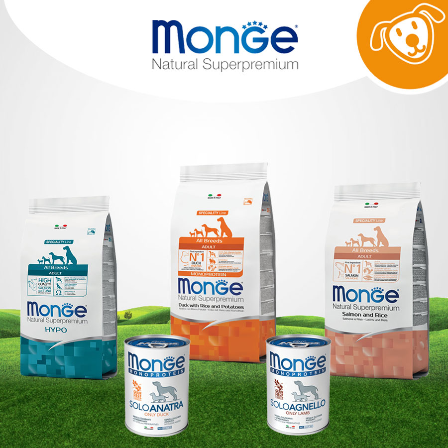 Monge Dog