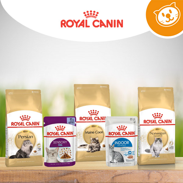 Royal Canin Cat