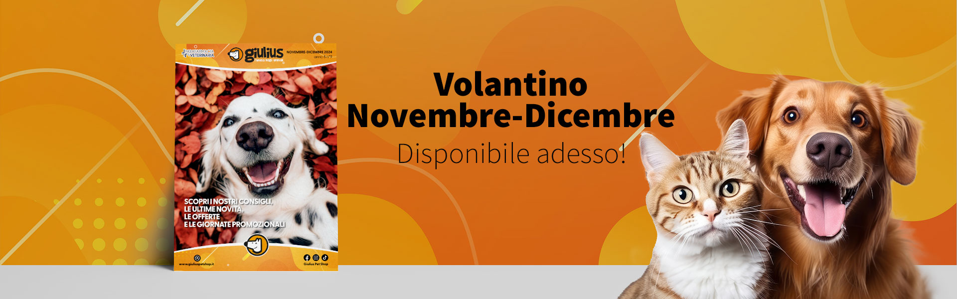 Volantino Novembre - Dicembre 24