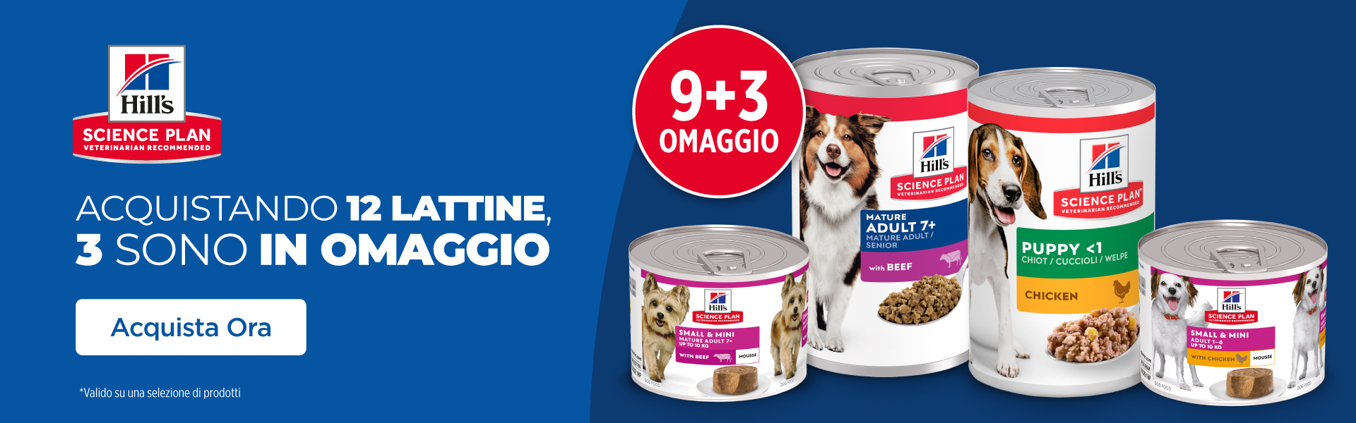 Hills 9+3 Cane Luglio