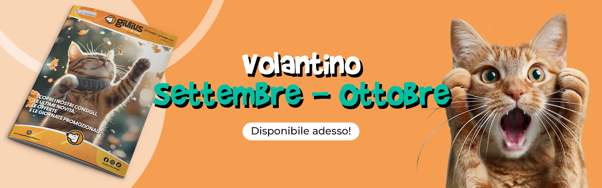 Volantino Sett-Ottobre
