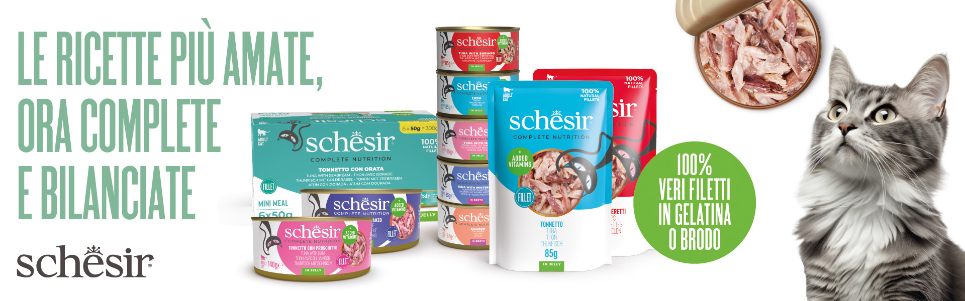 Schesir