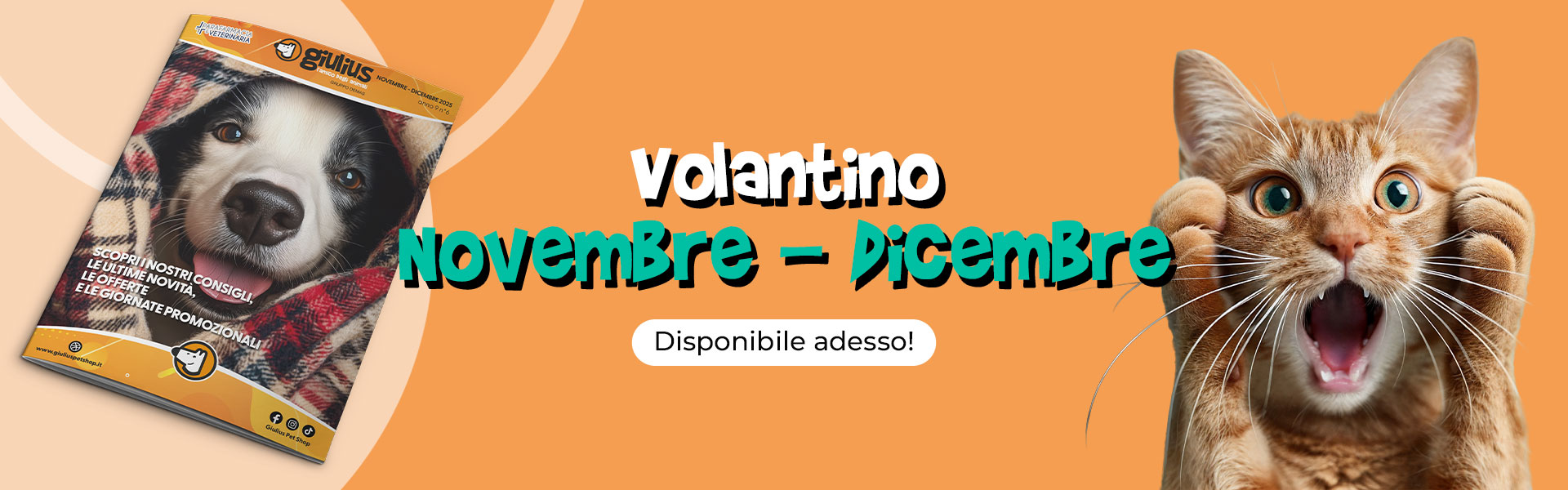 Volantino Nov-Dic 2025