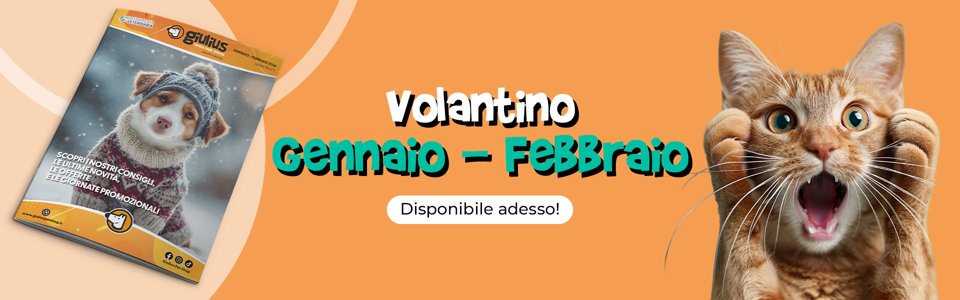 Volantino Gennaio - Febbraio 26