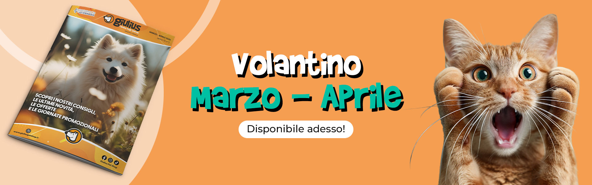 Volantino Marzo Aprile 2026