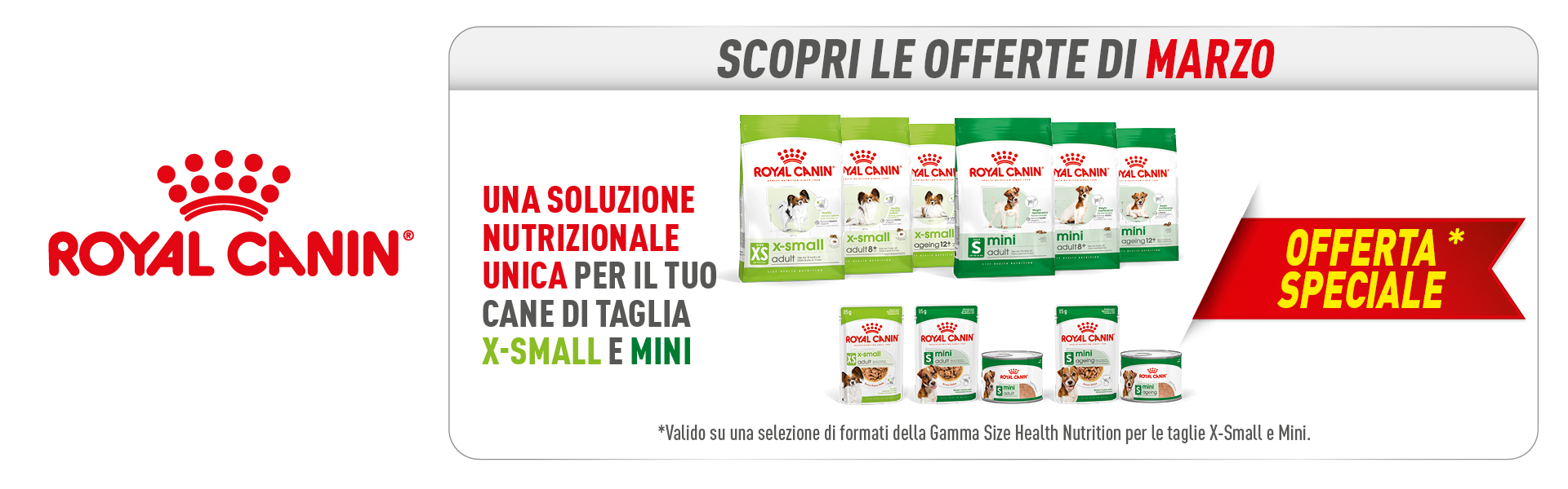 Royal mini marzo 2026