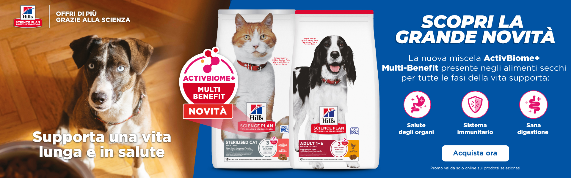 Hills Active biome marzo