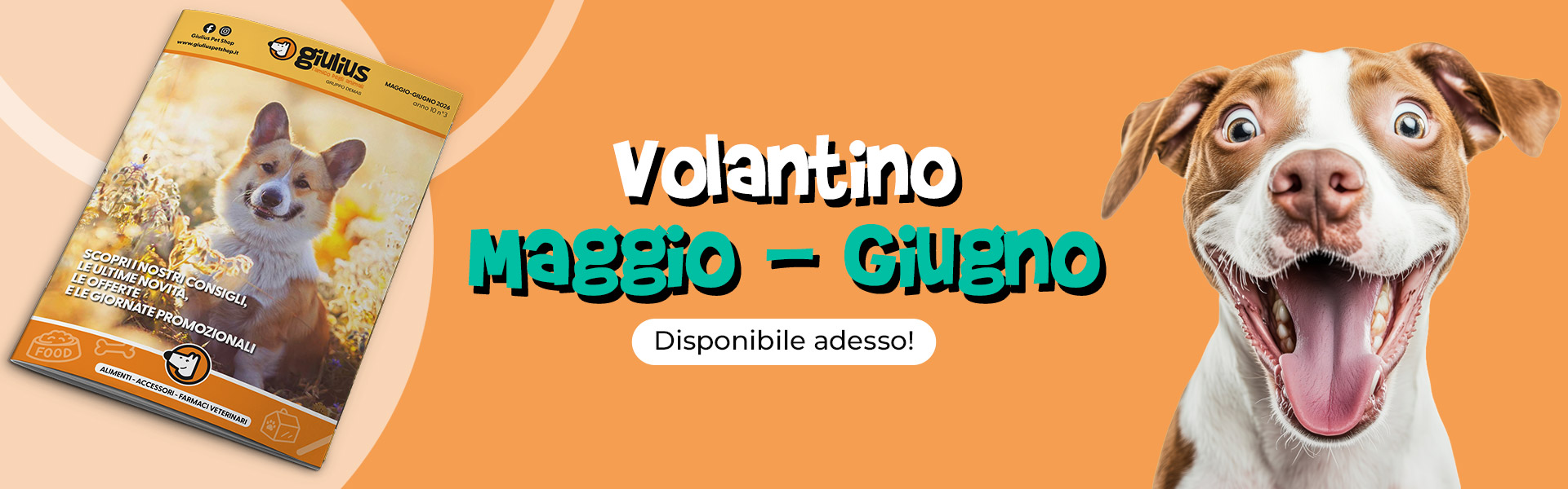 Volantino Maggio Giugno 2026