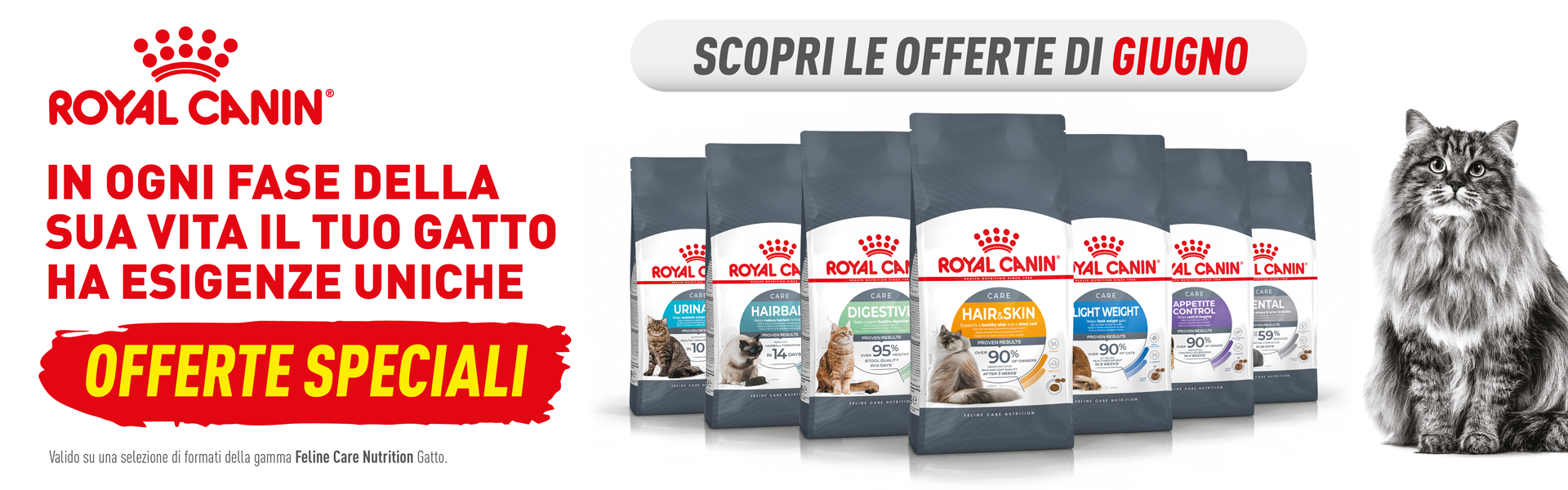 Royal Canin Feline Care Nutrition