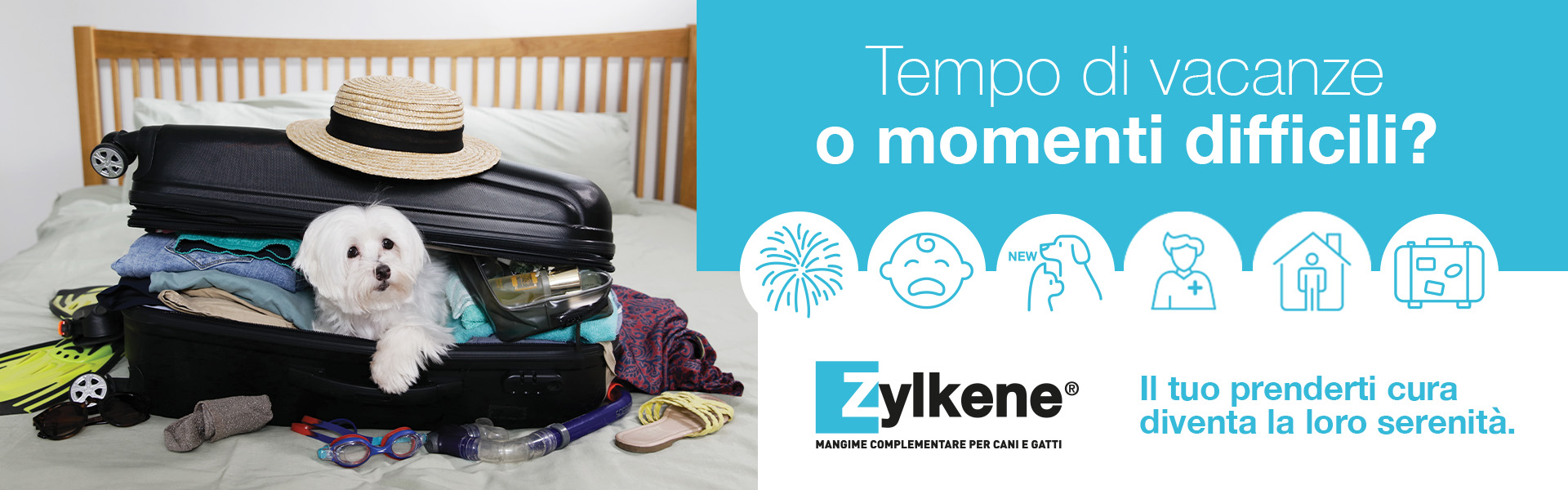 Zylkene Viaggi