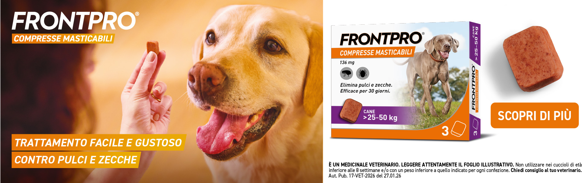 Frontpro