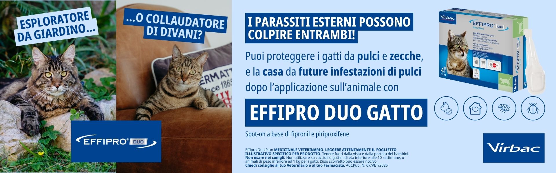 Effipro Duo Gatto