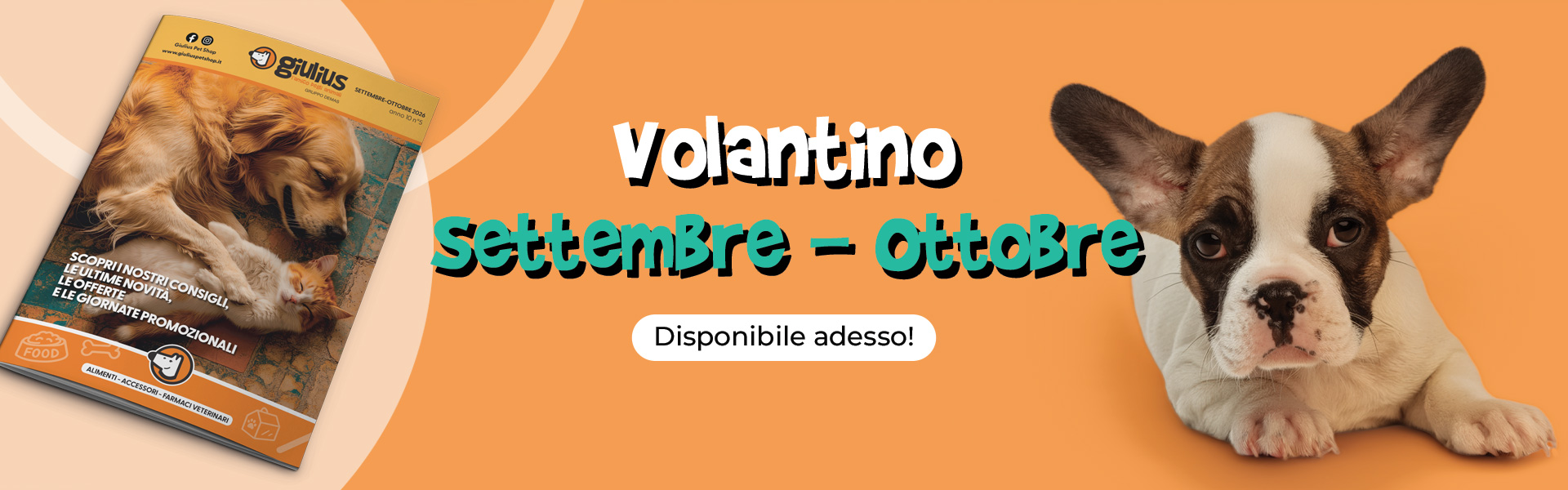Volantino Settembre Ottobre 2026