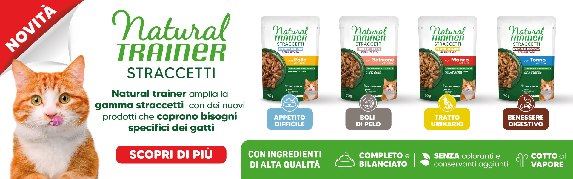 Trainer Cat Straccetti