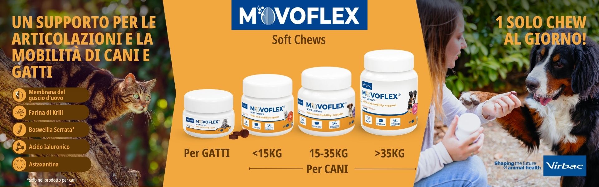Movoflex
