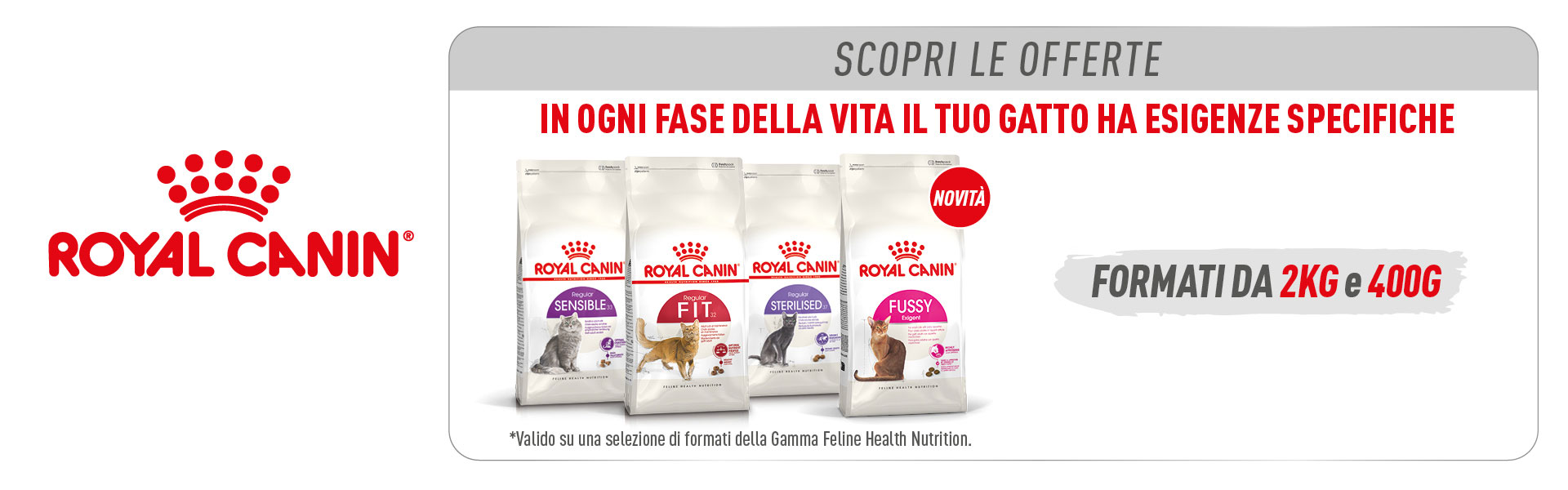 Royal Canin Gatto Mantenimento Secco